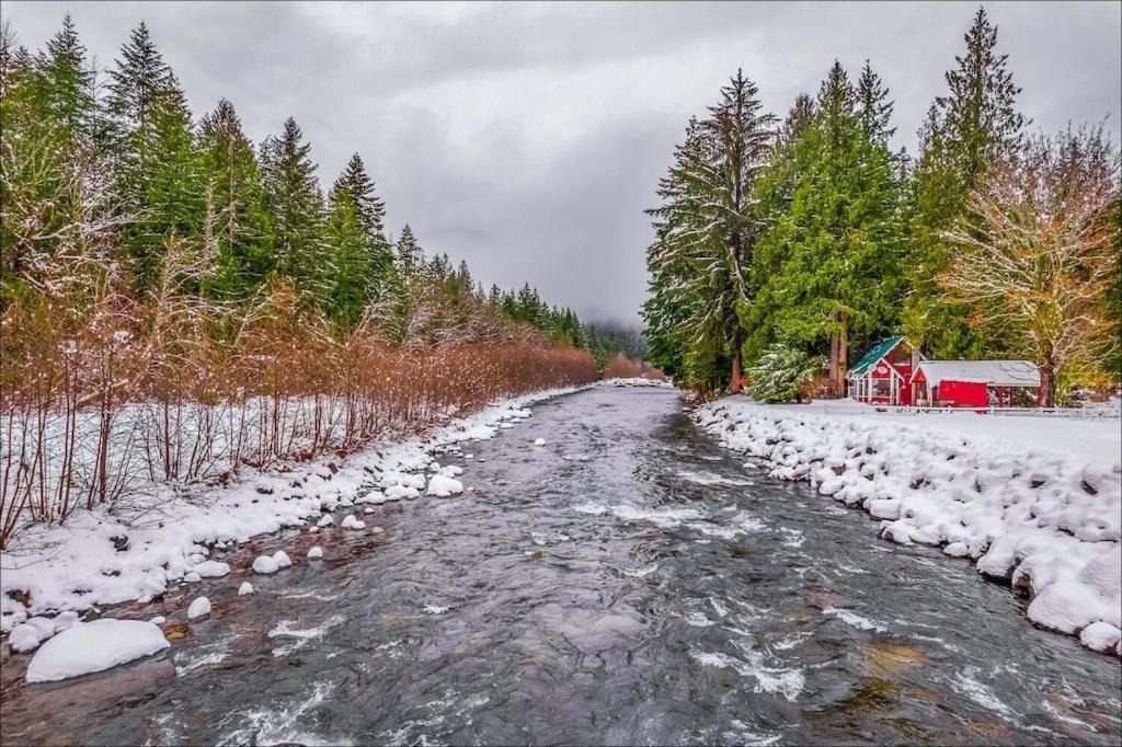 New: Steps From White River Near Mount Rainier National Park Greenwater Bagian luar foto